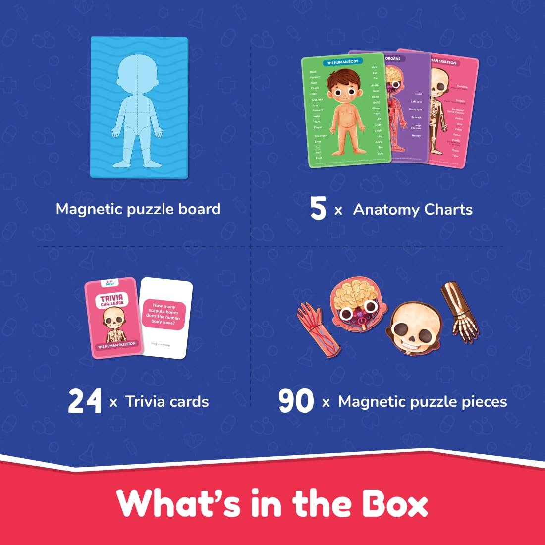 61q8yAQXBPL._SL1100_