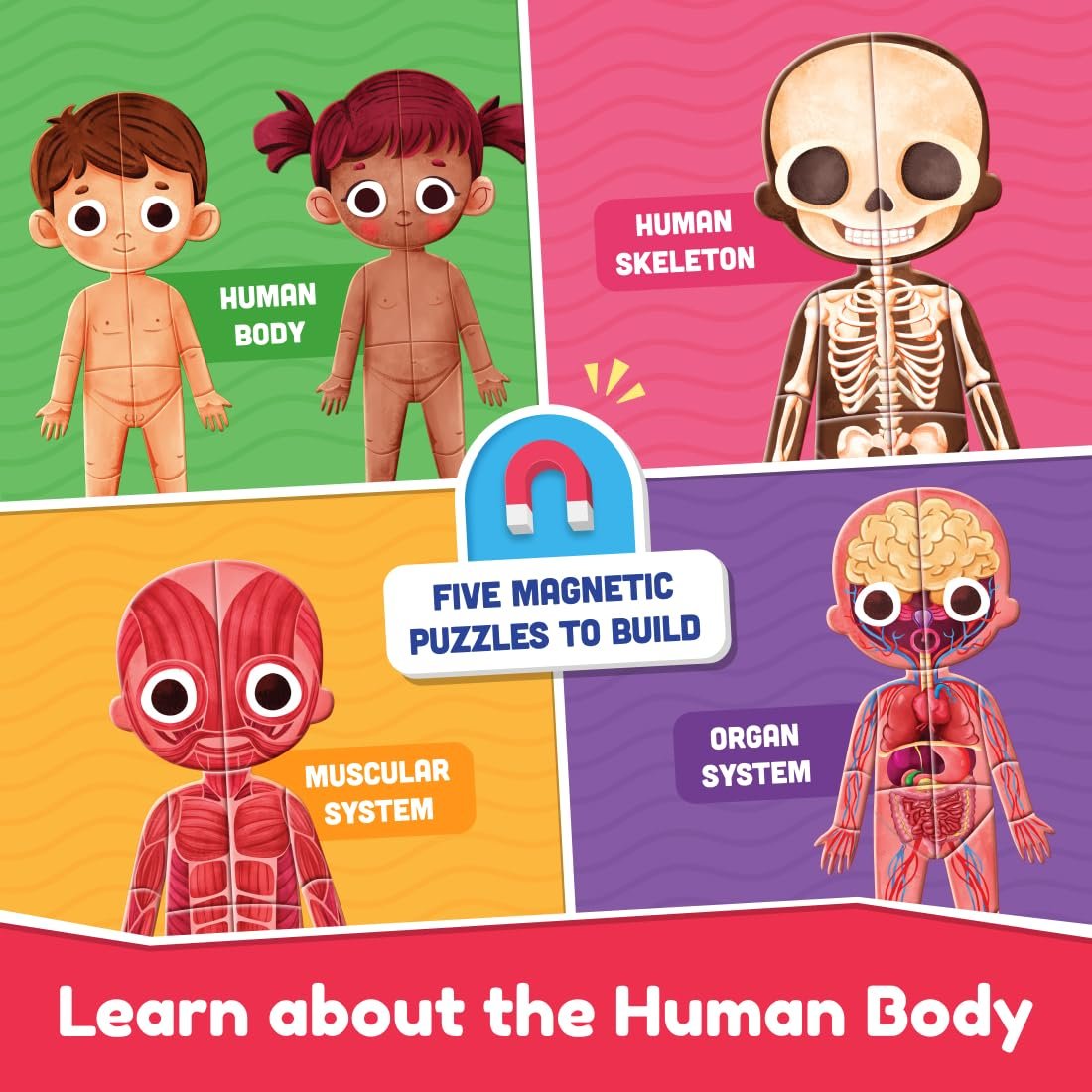 71UgI2bZiOL._SL1100_