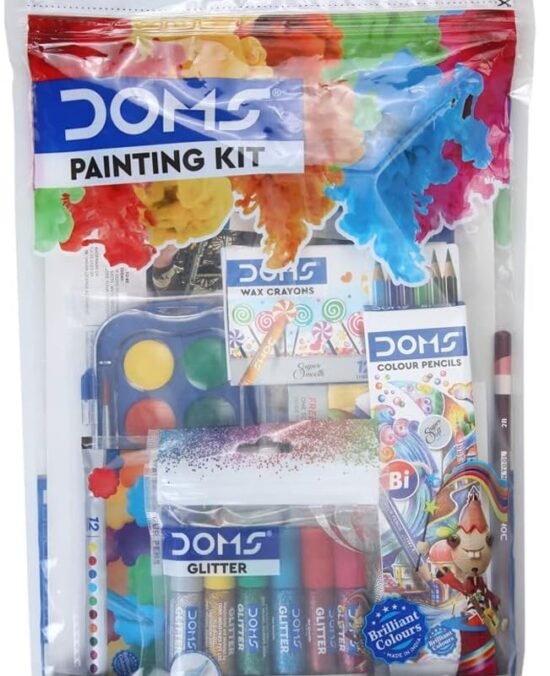 DOMS Painting Kit